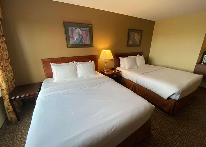 Comfort Inn & Suites Morton - Peoria