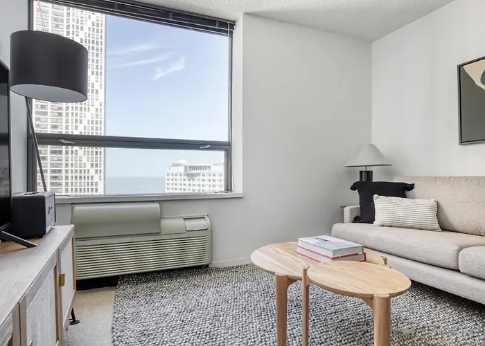 Streeterville 1Br W Gym Pool Nr Navy Pier Chi-447