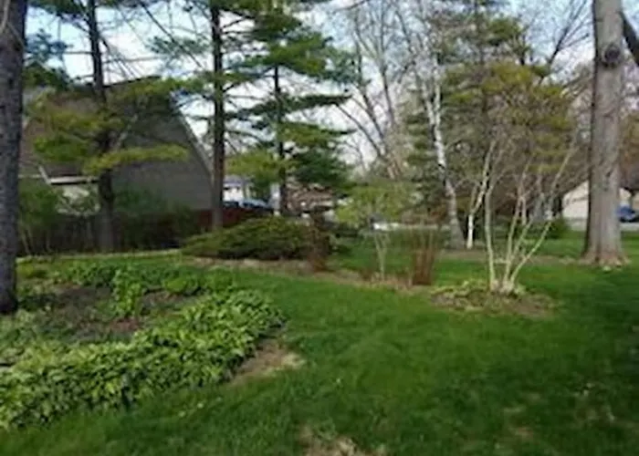 Dana Guest House