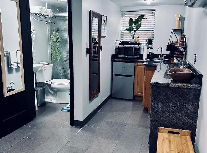 Chicago - Pilsen Studio Apartment - Unit B