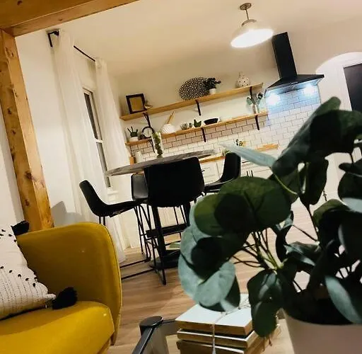 1Br 1 Ba Near Carl Health And Osf