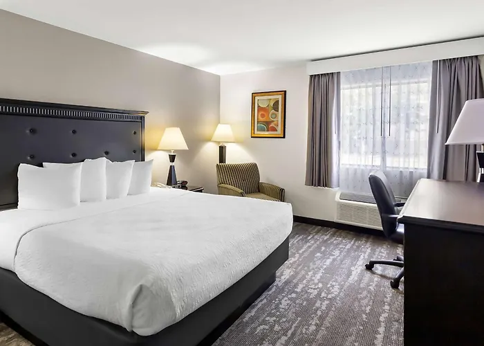Best Western Saluki Inn