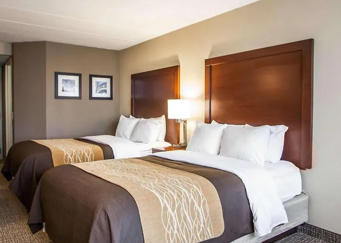 Quality Inn & Suites Orland Park - Chicago