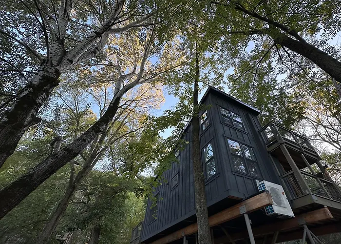 Treehouses At Starved Rock