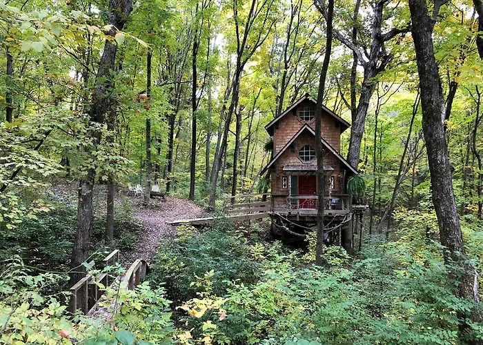Tree House Cabin For Six With Panoramic Forest Views In Nauvoo, Illinois