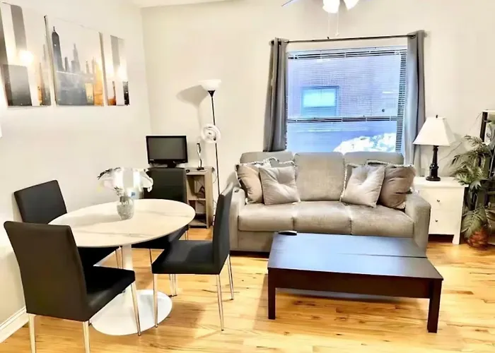 Entire Apt In Heart Of Chicago