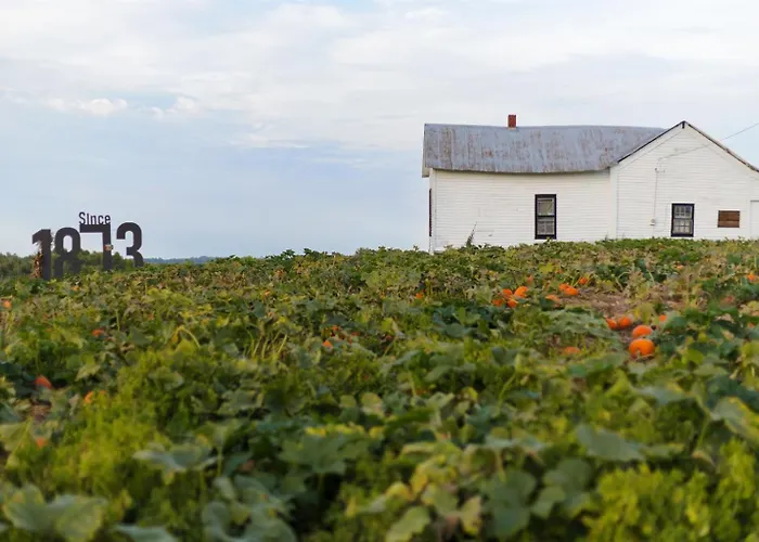 Rendelman Orchard'S Farm Stay
