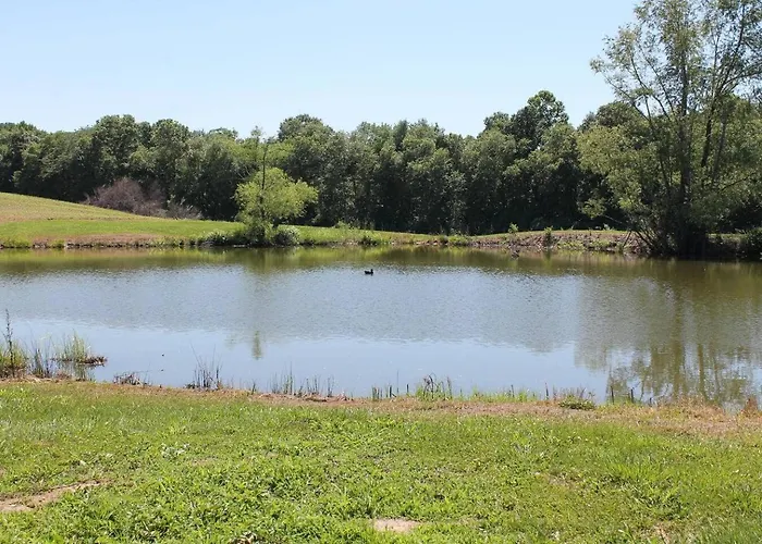 Pond View Loft - Screen Porch, Fire Pit & Fishing