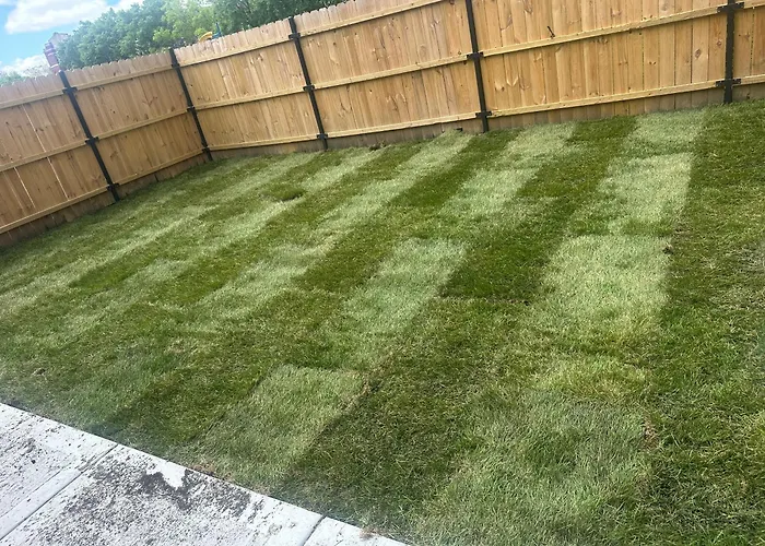 Modern 3Br Apt Near United Center