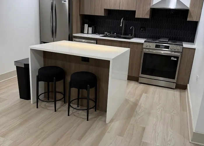 Luxurious Bronzeville Apartment With Rooftop