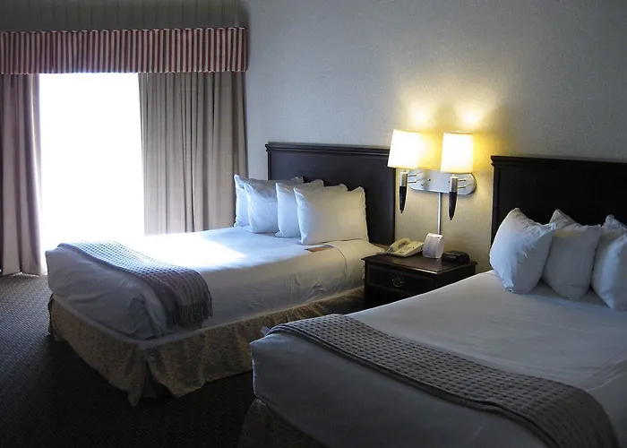 Clock Tower Resort And Conference Center - Rockford